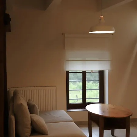 Apartment Regent-winnica Hanna