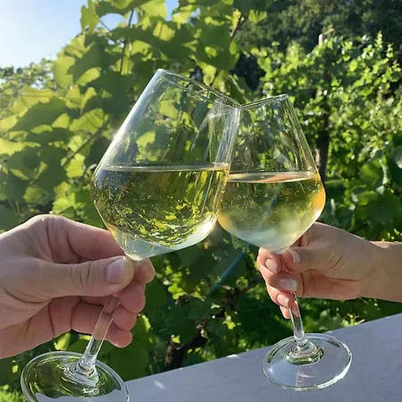 Regent-winnica Hanna