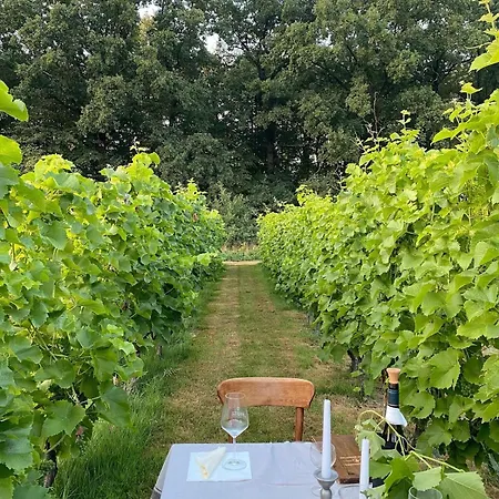 Regent-winnica Hanna Apartment