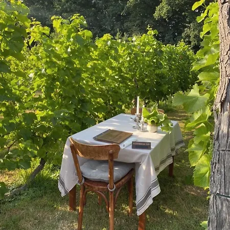 Apartment Regent-winnica Hanna Radomierzyce