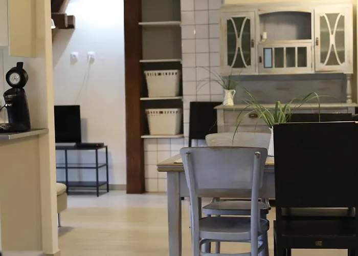 Regent-winnica Hanna Radomierzyce