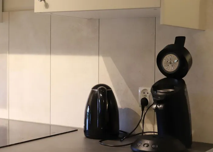 Regent-winnica Hanna *