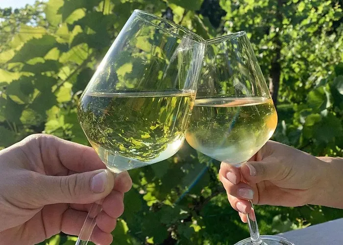 Regent-winnica Hanna