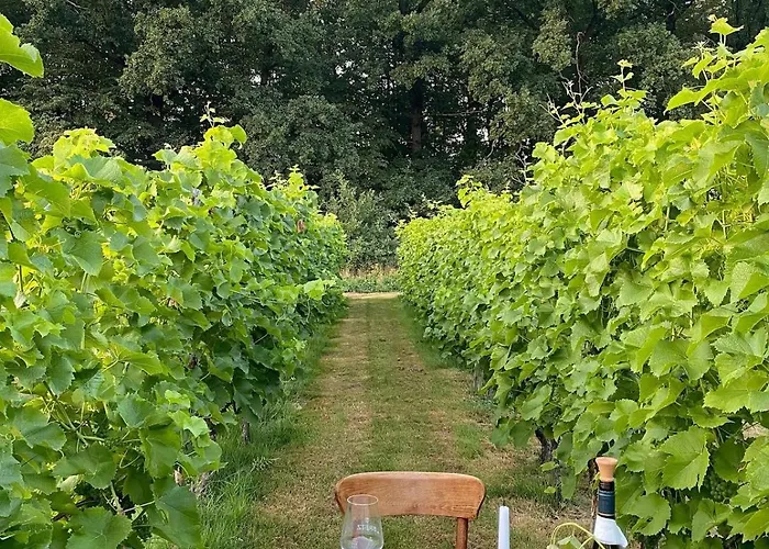 Regent-winnica Hanna Апартаменты