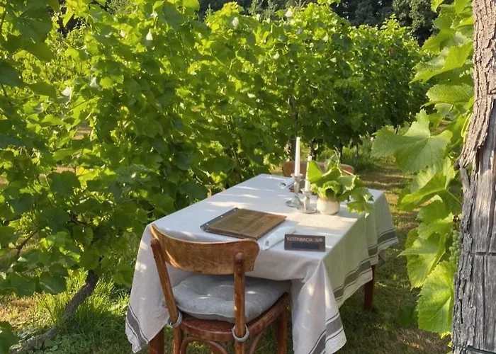 Апартаменты Regent-winnica Hanna Radomierzyce